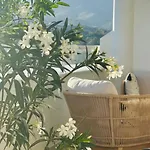 Oceana Gardens - Family Getaway